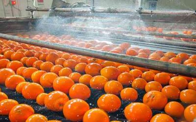 Imperx Launches New Family of SWIR Cameras